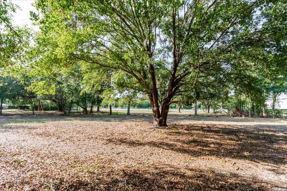 17380 RIVERSTONE DRIVE Lutz, FL 33558