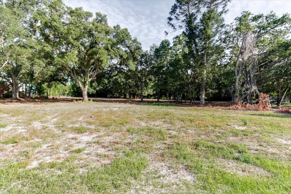 17380 RIVERSTONE DRIVE Lutz, FL 33558