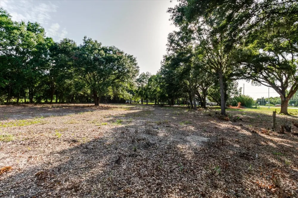 17380 RIVERSTONE DRIVE Lutz, FL 33558