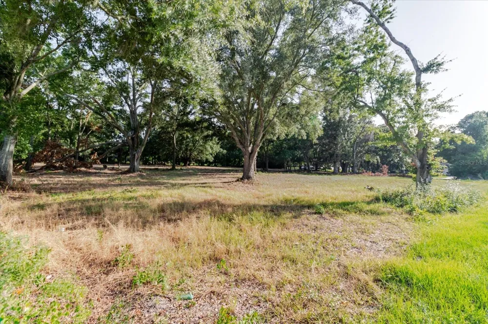 17380 RIVERSTONE DRIVE Lutz, FL 33558