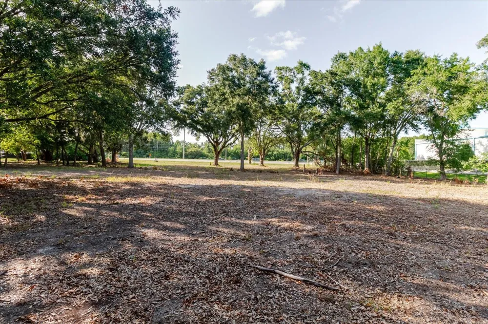 17380 RIVERSTONE DRIVE Lutz, FL 33558