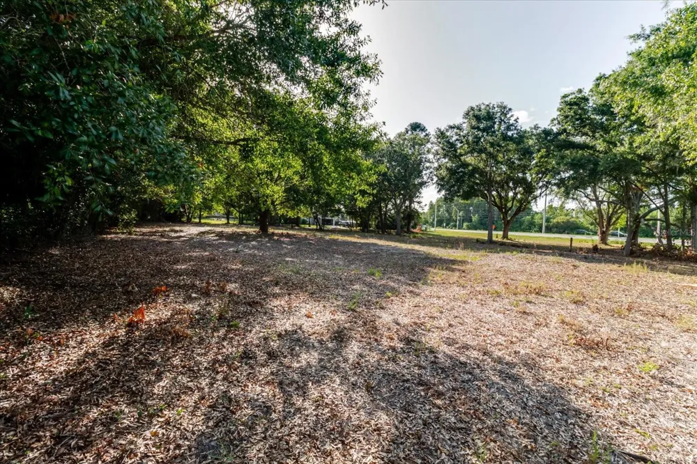 17380 RIVERSTONE DRIVE Lutz, FL 33558