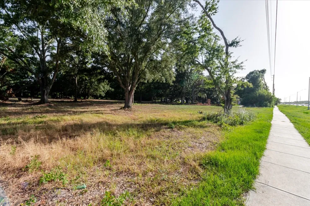 17380 RIVERSTONE DRIVE Lutz, FL 33558