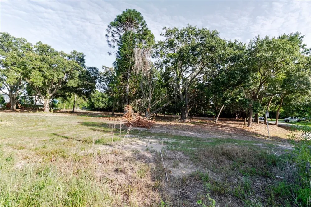 17380 RIVERSTONE DRIVE Lutz, FL 33558