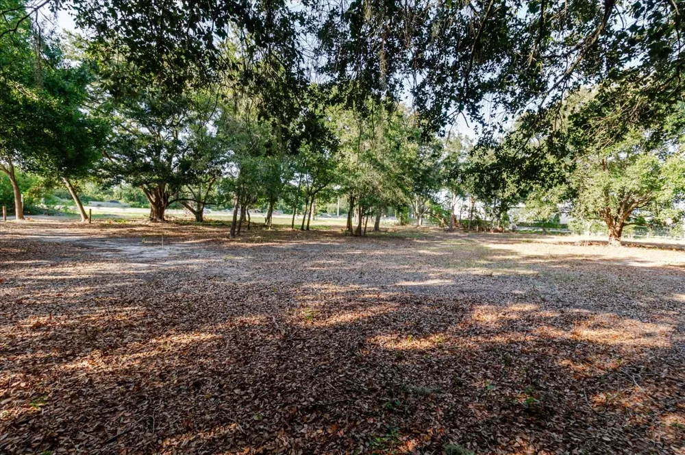 17380 RIVERSTONE DRIVE Lutz, FL 33558