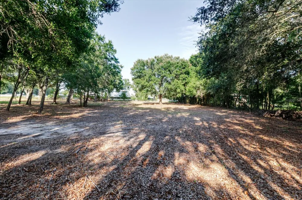 17380 RIVERSTONE DRIVE Lutz, FL 33558