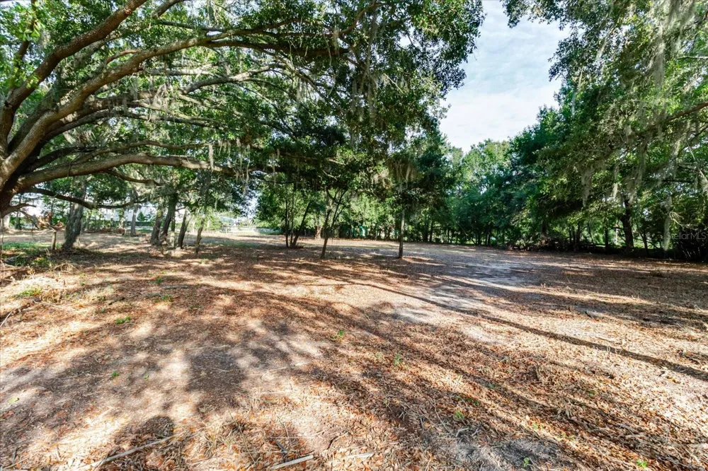 17380 RIVERSTONE DRIVE Lutz, FL 33558