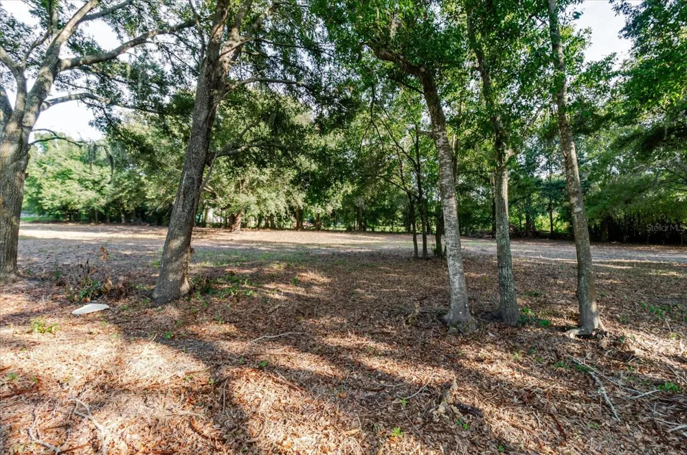 17380 RIVERSTONE DRIVE Lutz, FL 33558