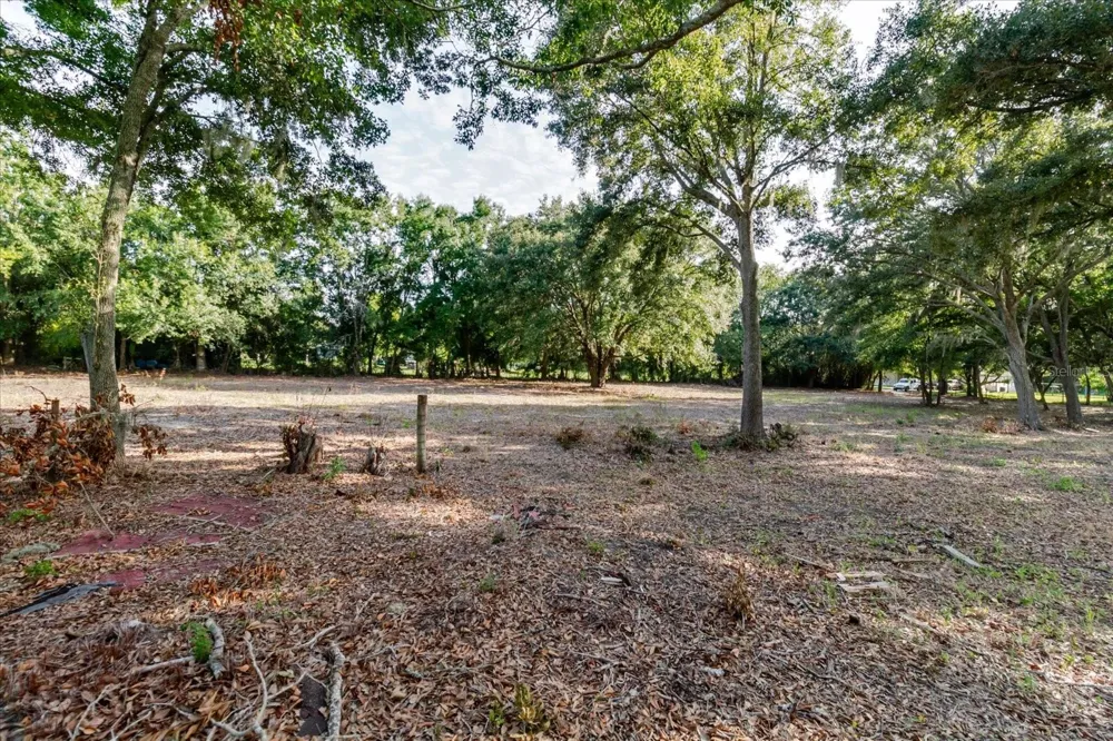17380 RIVERSTONE DRIVE Lutz, FL 33558