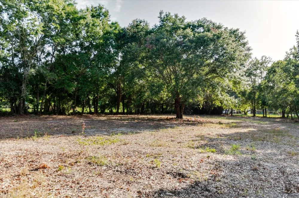17380 RIVERSTONE DRIVE Lutz, FL 33558