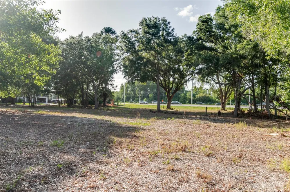 17380 RIVERSTONE DRIVE Lutz, FL 33558