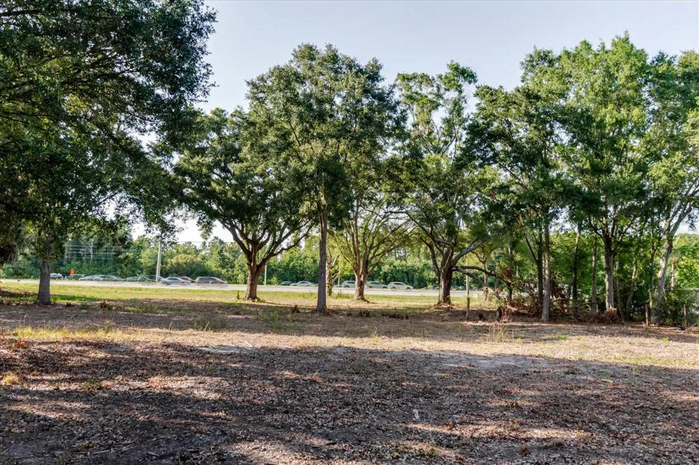 17380 RIVERSTONE DRIVE Lutz, FL 33558