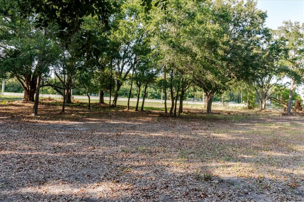 17380 RIVERSTONE DRIVE Lutz, FL 33558