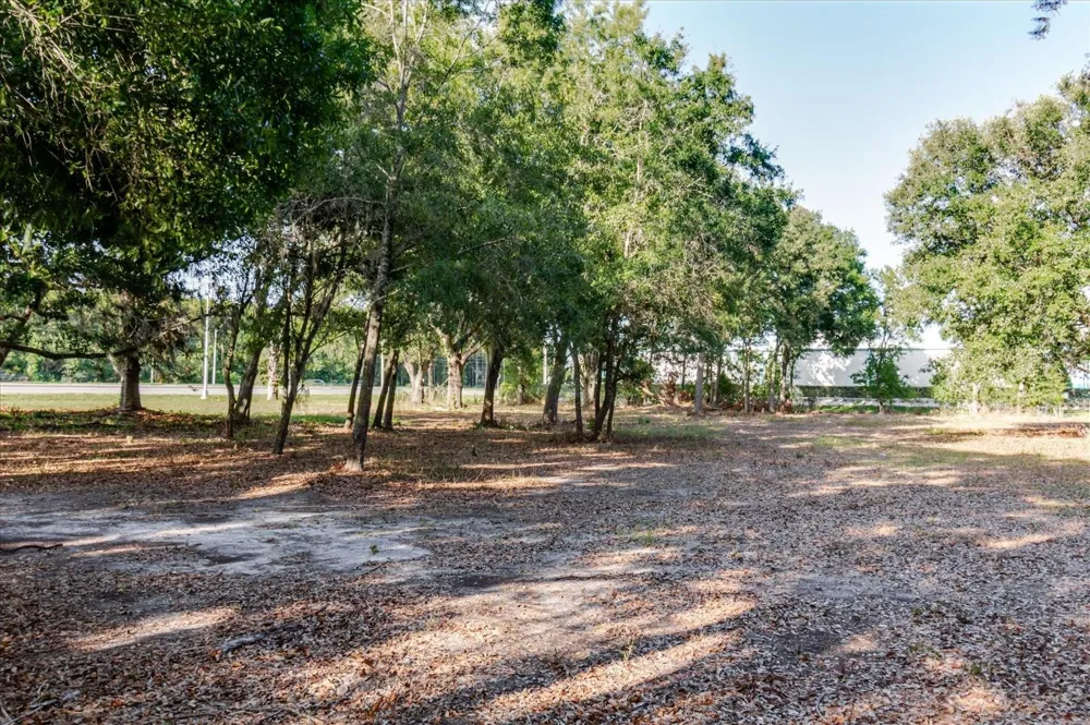 17380 RIVERSTONE DRIVE Lutz, FL 33558