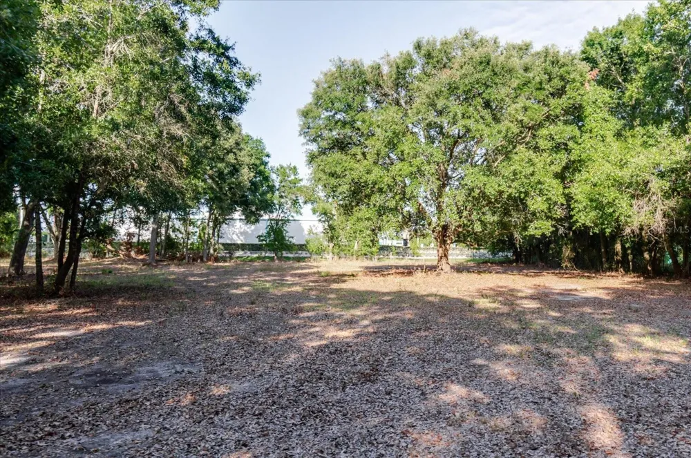 17380 RIVERSTONE DRIVE Lutz, FL 33558