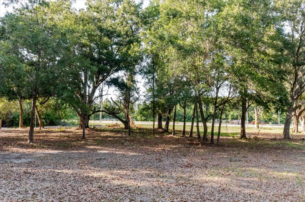 17380 RIVERSTONE DRIVE Lutz, FL 33558