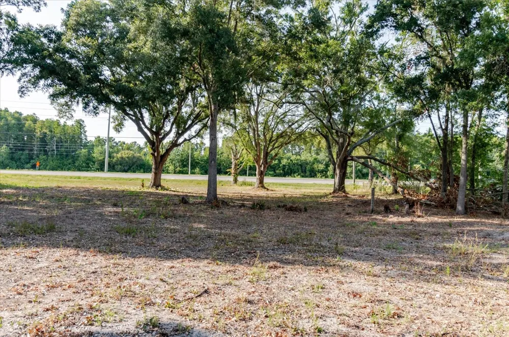 17380 RIVERSTONE DRIVE Lutz, FL 33558