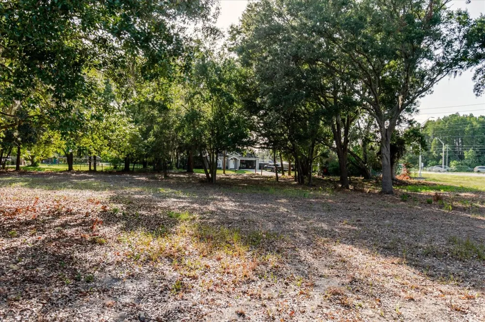 17380 RIVERSTONE DRIVE Lutz, FL 33558