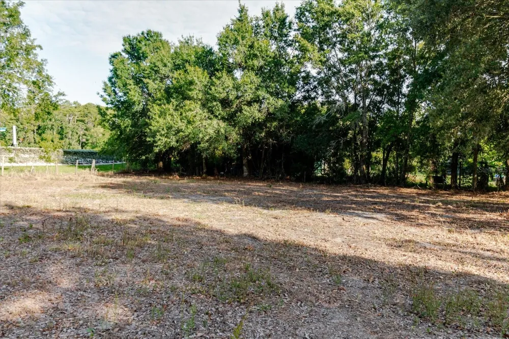 17380 RIVERSTONE DRIVE Lutz, FL 33558