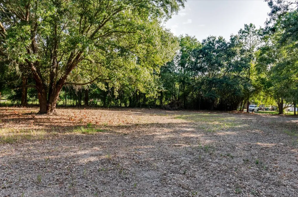 17380 RIVERSTONE DRIVE Lutz, FL 33558