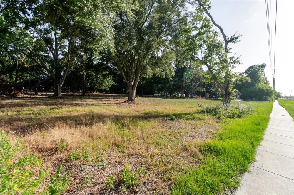 17380 RIVERSTONE DRIVE Lutz, FL 33558