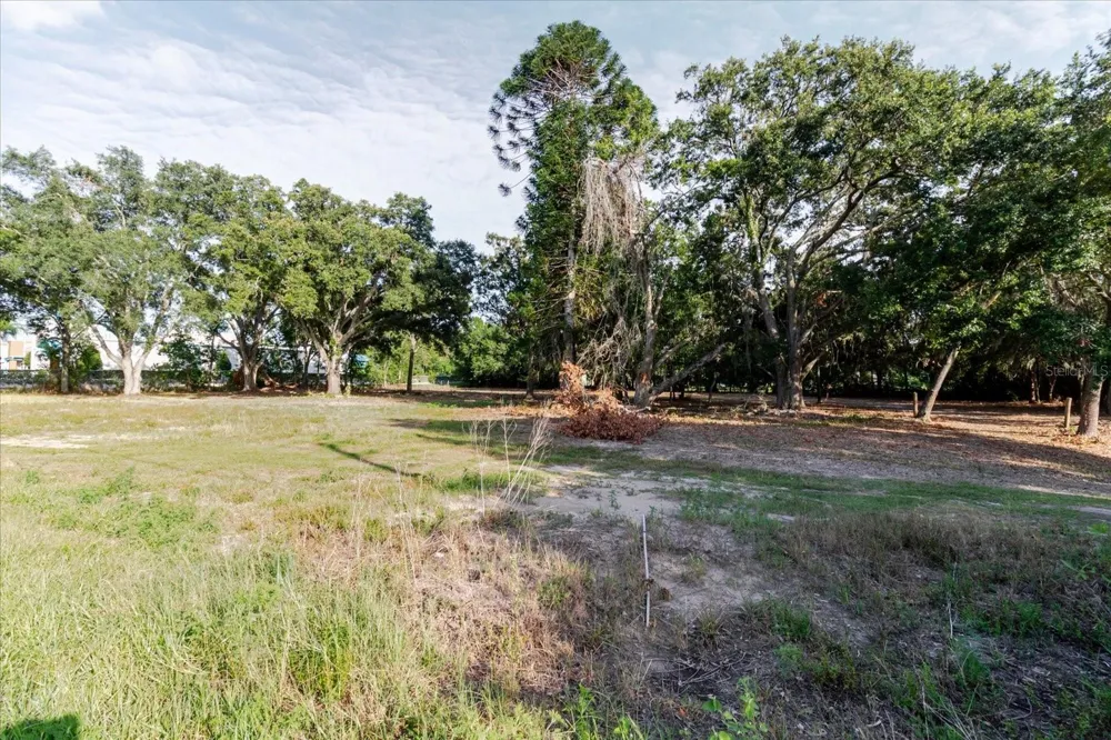 17380 RIVERSTONE DRIVE Lutz, FL 33558