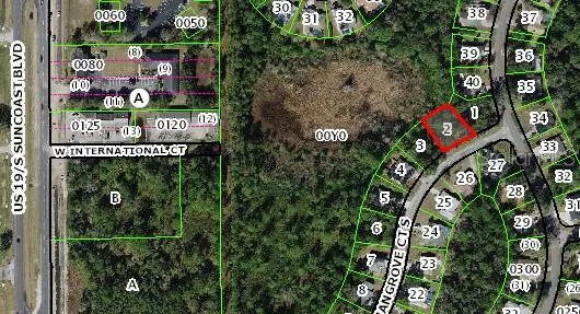 4 MANGROVE COURT S Homosassa, FL 34446
