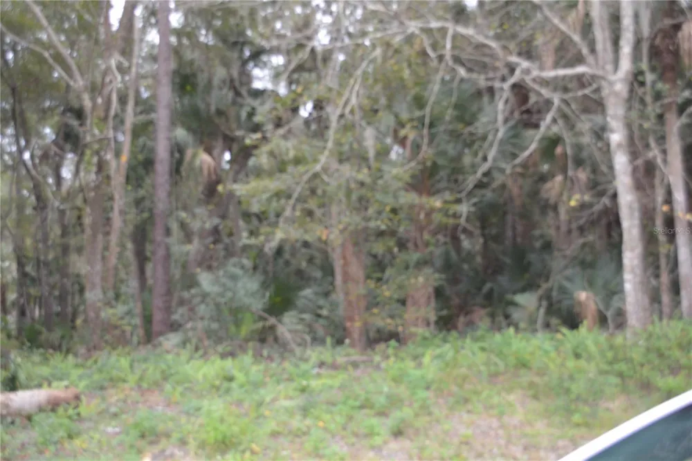 0 LINCOLN STREET Sanford, FL 32771
