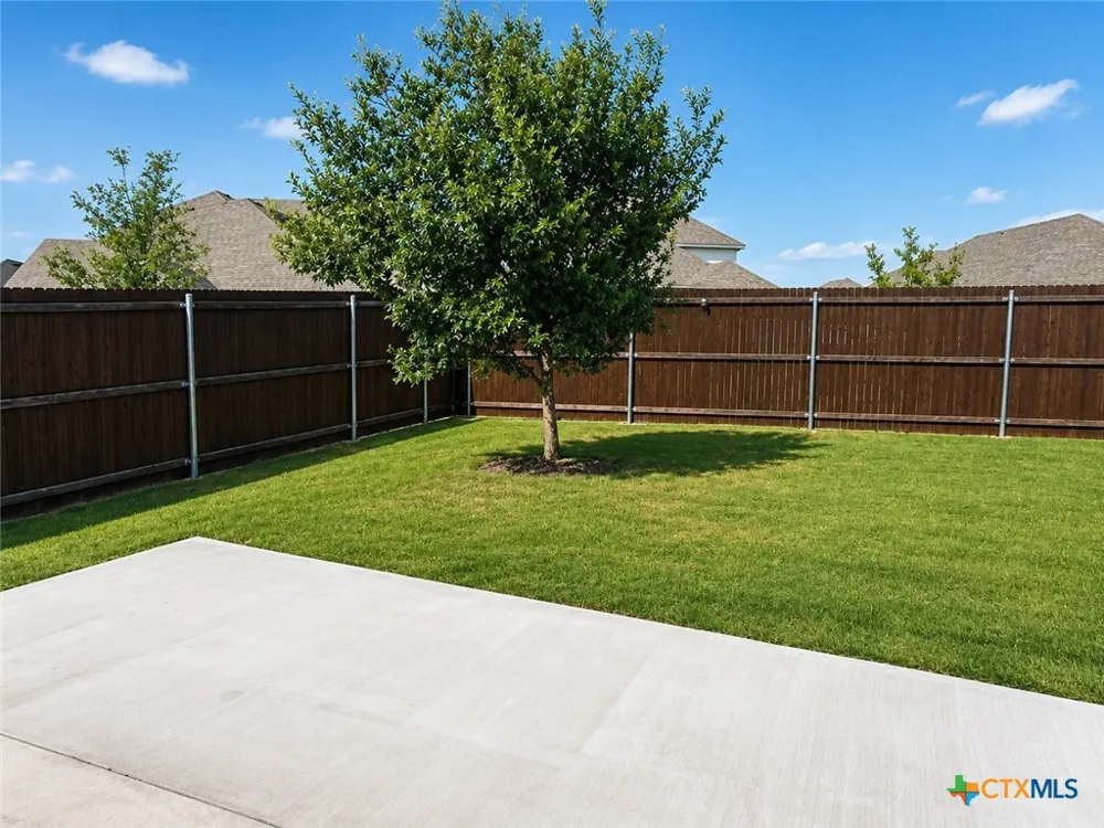 262 Little Bridge Drive Lavon, TX 75166