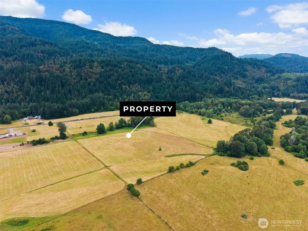 1211 Cline Road Randle, WA 98377