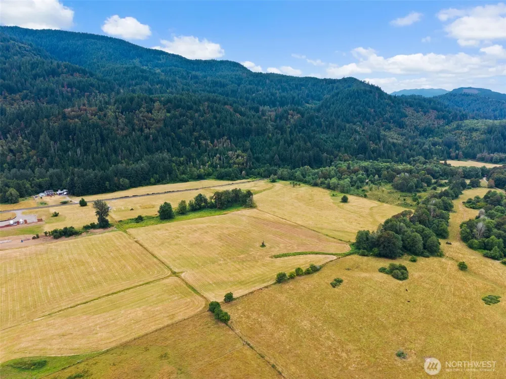 1211 Cline Road Randle, WA 98377