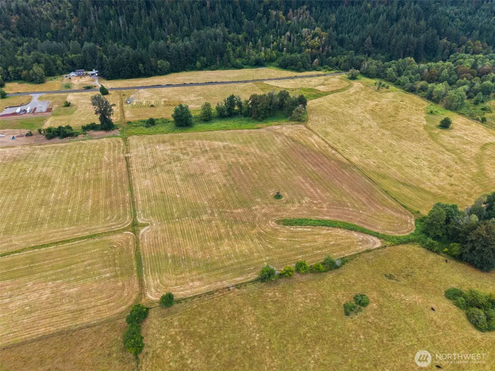 1211 Cline Road Randle, WA 98377