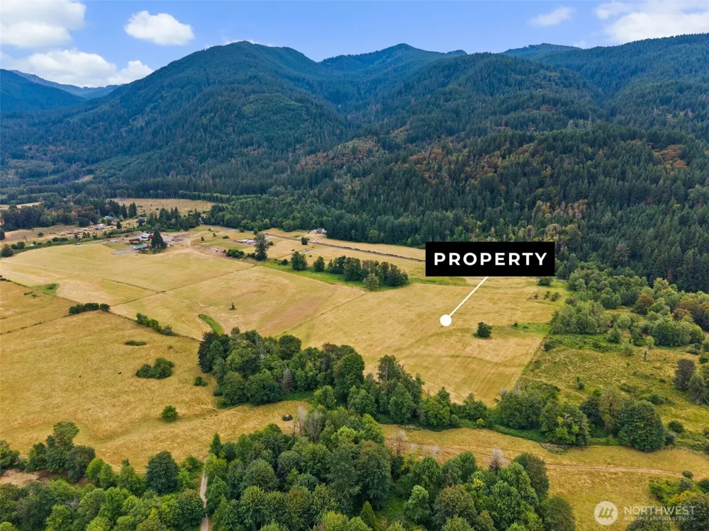1179 Cline Road Randle, WA 98377