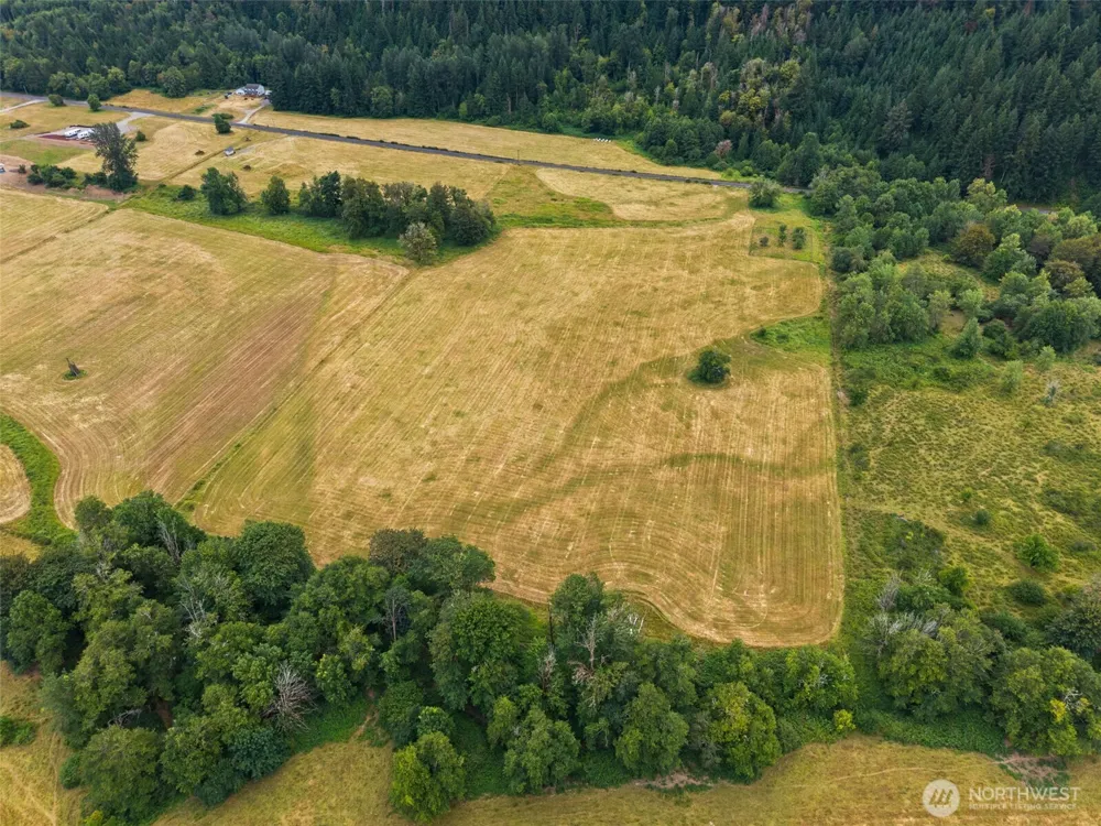 1179 Cline Road Randle, WA 98377