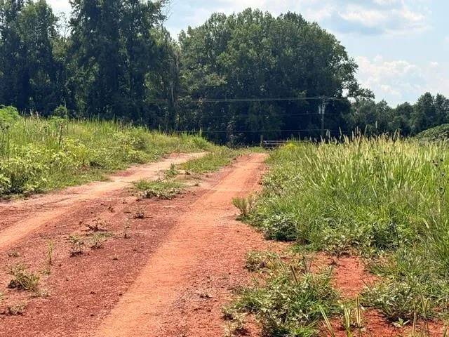 000 Rainey Rd Temple, GA 30179