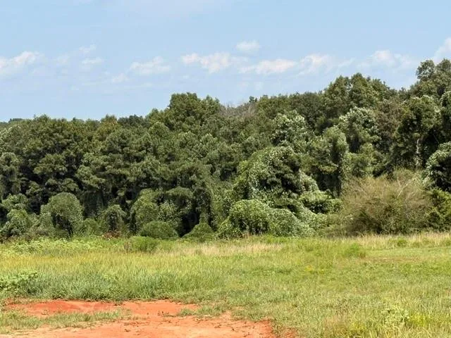 000 Rainey Rd Temple, GA 30179