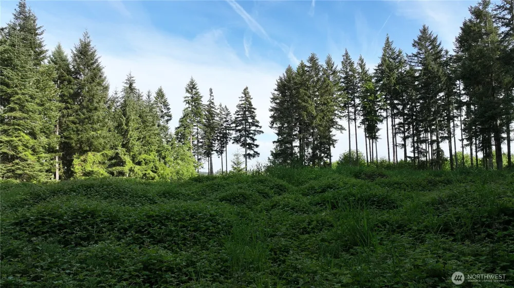 0 NE Finalburg Road La Center, WA 98629