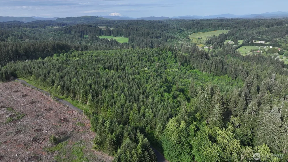 0 NE Finalburg Road La Center, WA 98629