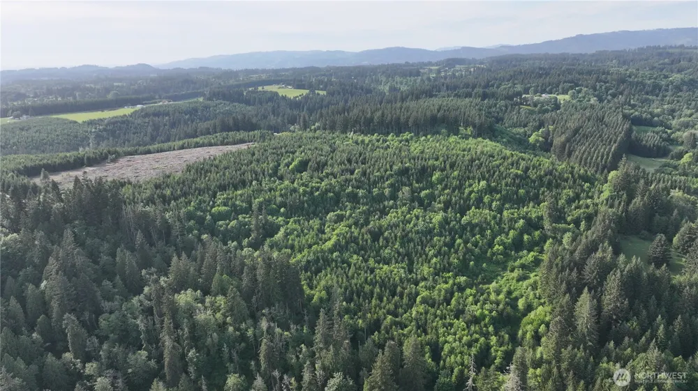 0 NE Finalburg Road La Center, WA 98629