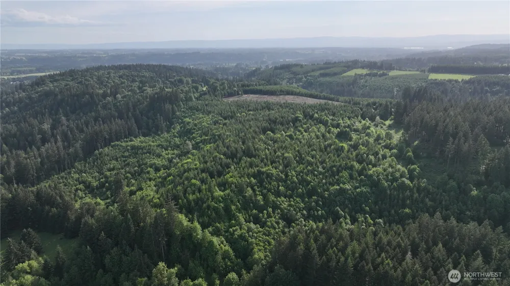 0 NE Finalburg Road La Center, WA 98629