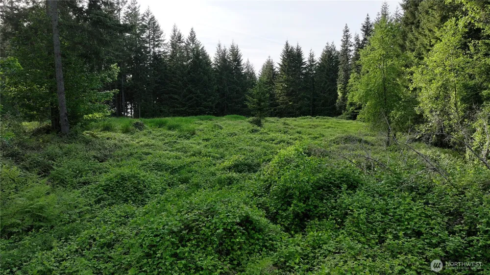 0 NE Finalburg Road La Center, WA 98629