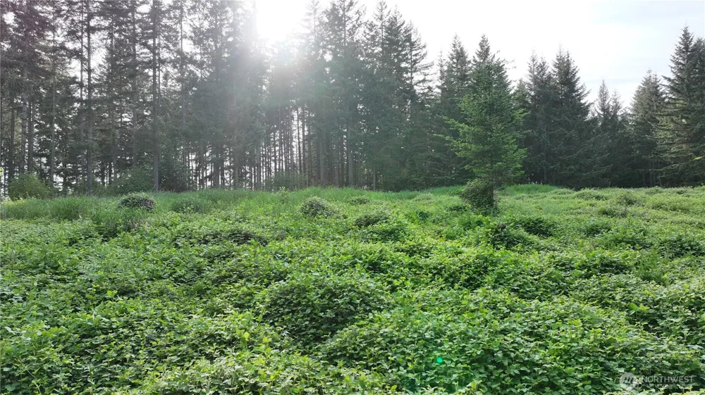 0 NE Finalburg Road La Center, WA 98629