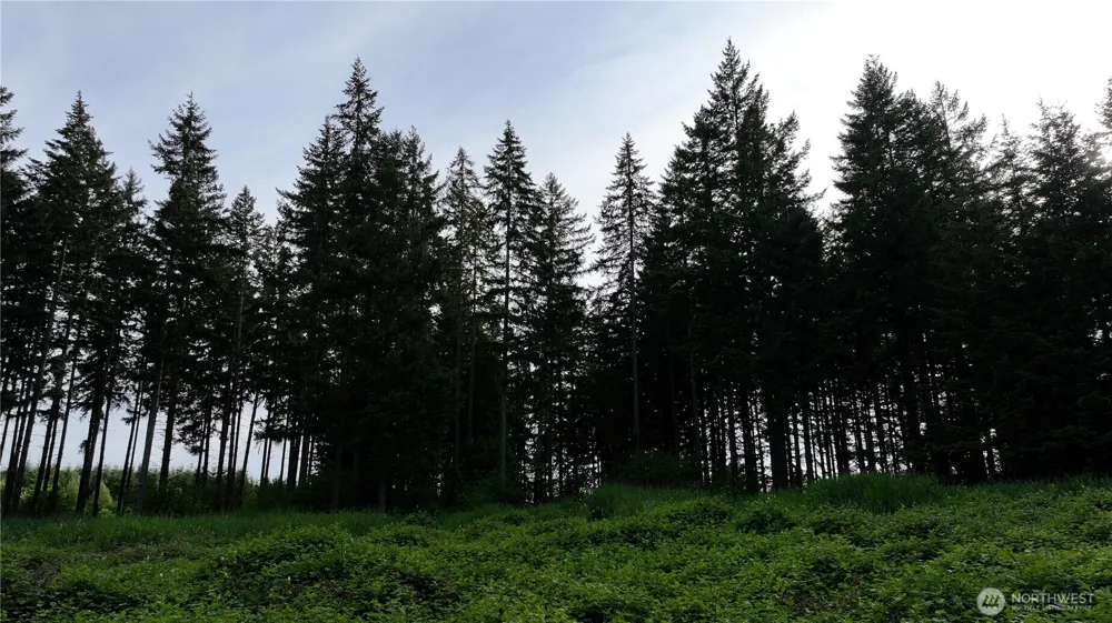 0 NE Finalburg Road La Center, WA 98629