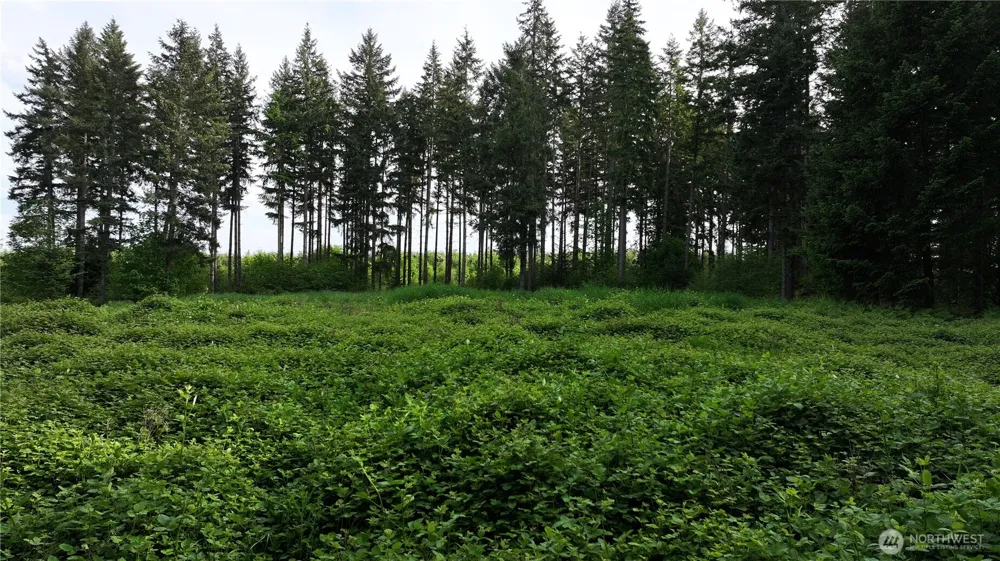 0 NE Finalburg Road La Center, WA 98629