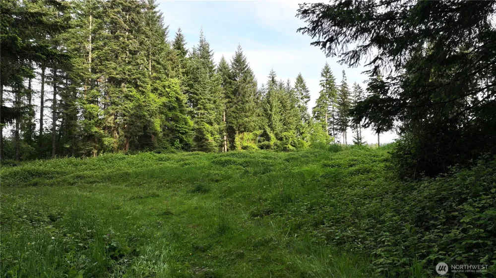 0 NE Finalburg Road La Center, WA 98629