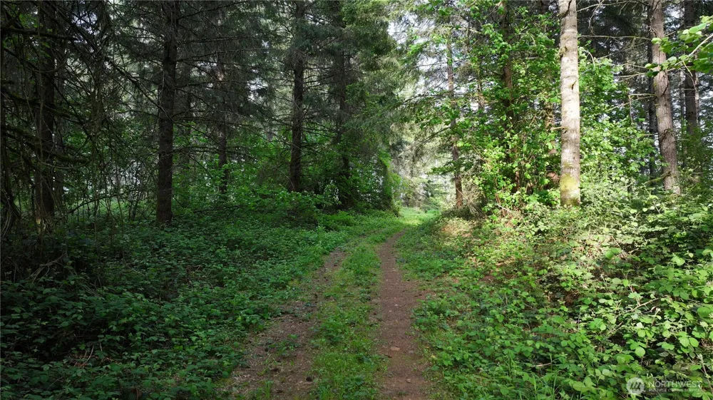 0 NE Finalburg Road La Center, WA 98629