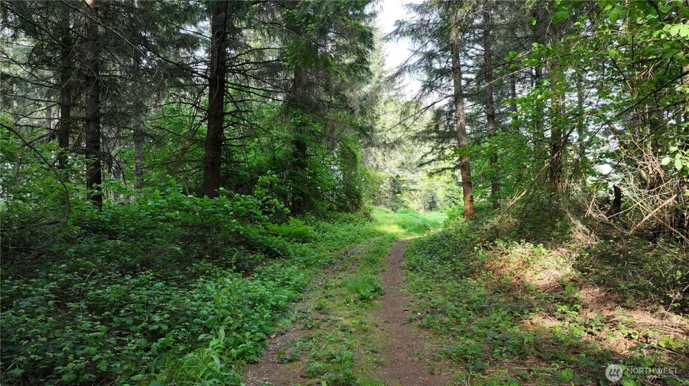 0 NE Finalburg Road La Center, WA 98629