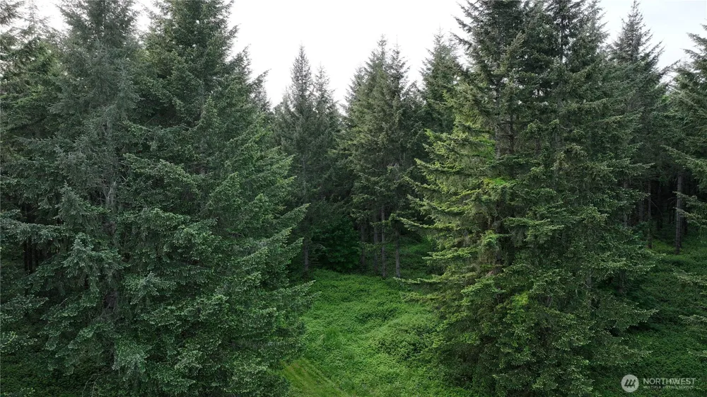0 NE Finalburg Road La Center, WA 98629