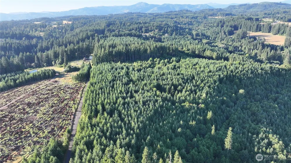 0 NE Finalburg Road La Center, WA 98629