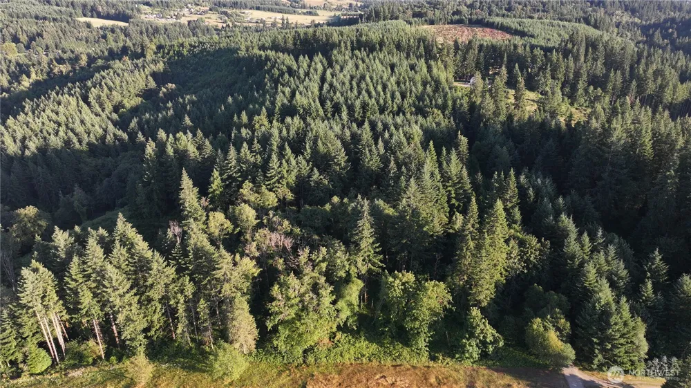 0 NE Finalburg Road La Center, WA 98629